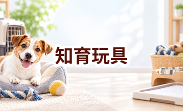 知育玩具はいくら？価格帯と長く使うための選び方
