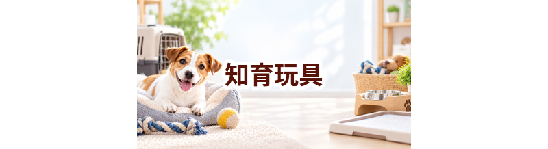 知育玩具はいくら？価格帯と長く使うための選び方