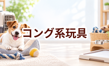 コング系玩具はいくら？価格帯と長く使うための選び方