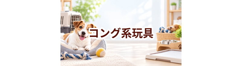 コング系玩具はいくら？価格帯と長く使うための選び方