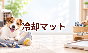 冷却マットはいくら？価格帯と長く使うための選び方