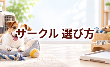 サークルの選び方｜サイズ・使いやすさ・価格で失敗しないポイント