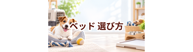 ベッドの選び方｜サイズ・使いやすさ・価格で失敗しないポイント