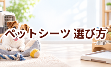 ペットシーツの選び方｜サイズ・使いやすさ・価格で失敗しないポイント