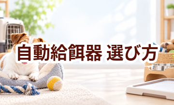 自動給餌器の選び方｜サイズ・使いやすさ・価格で失敗しないポイント