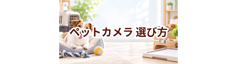 ペットカメラの選び方｜サイズ・使いやすさ・価格で失敗しないポイント