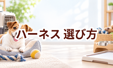 ハーネスの選び方｜サイズ・使いやすさ・価格で失敗しないポイント