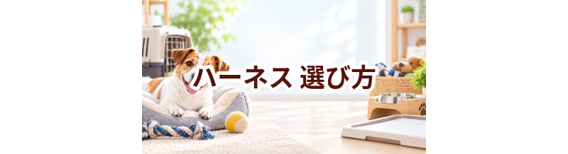 ハーネスの選び方｜サイズ・使いやすさ・価格で失敗しないポイント