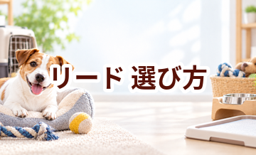 リードの選び方｜サイズ・使いやすさ・価格で失敗しないポイント