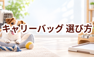 キャリーバッグの選び方｜サイズ・使いやすさ・価格で失敗しないポイント
