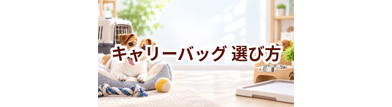 キャリーバッグの選び方｜サイズ・使いやすさ・価格で失敗しないポイント