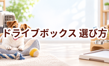 ドライブボックスの選び方｜サイズ・使いやすさ・価格で失敗しないポイント