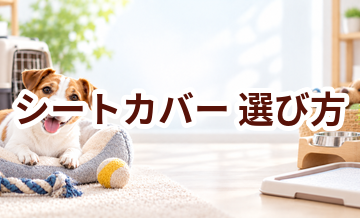 シートカバーの選び方｜サイズ・使いやすさ・価格で失敗しないポイント