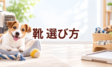 靴の選び方｜サイズ・使いやすさ・価格で失敗しないポイント