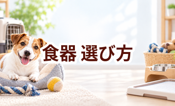 食器の選び方｜サイズ・使いやすさ・価格で失敗しないポイント