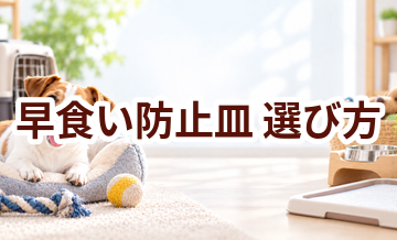 早食い防止皿の選び方｜サイズ・使いやすさ・価格で失敗しないポイント