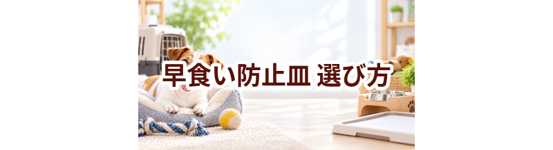早食い防止皿の選び方｜サイズ・使いやすさ・価格で失敗しないポイント