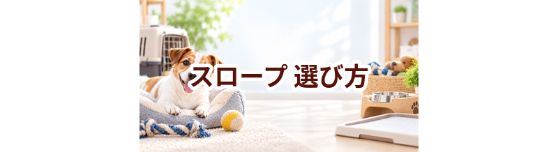 スロープの選び方｜サイズ・使いやすさ・価格で失敗しないポイント