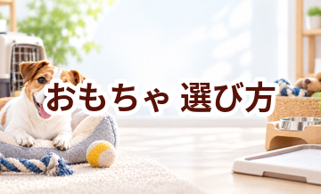 おもちゃの選び方｜サイズ・使いやすさ・価格で失敗しないポイント
