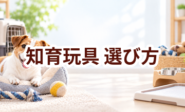 知育玩具の選び方｜サイズ・使いやすさ・価格で失敗しないポイント