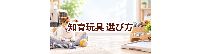知育玩具の選び方｜サイズ・使いやすさ・価格で失敗しないポイント