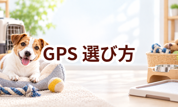 GPSの選び方｜サイズ・使いやすさ・価格で失敗しないポイント