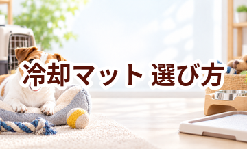 冷却マットの選び方｜サイズ・使いやすさ・価格で失敗しないポイント