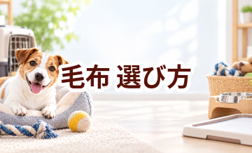 毛布の選び方｜サイズ・使いやすさ・価格で失敗しないポイント