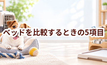 ベッドを比較するときの5項目｜価格・安全性・手入れのしやすさを確認