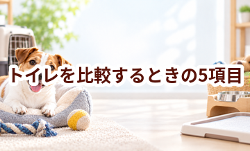 トイレを比較するときの5項目｜価格・安全性・手入れのしやすさを確認