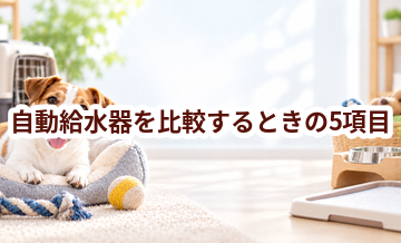 自動給水器を比較するときの5項目｜価格・安全性・手入れのしやすさを確認