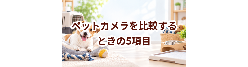 ペットカメラを比較するときの5項目｜価格・安全性・手入れのしやすさを確認