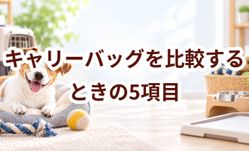 キャリーバッグを比較するときの5項目｜価格・安全性・手入れのしやすさを確認