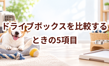 ドライブボックスを比較するときの5項目｜価格・安全性・手入れのしやすさを確認