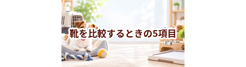 靴を比較するときの5項目｜価格・安全性・手入れのしやすさを確認