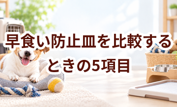 早食い防止皿を比較するときの5項目｜価格・安全性・手入れのしやすさを確認