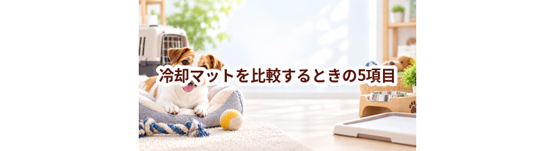 冷却マットを比較するときの5項目｜価格・安全性・手入れのしやすさを確認