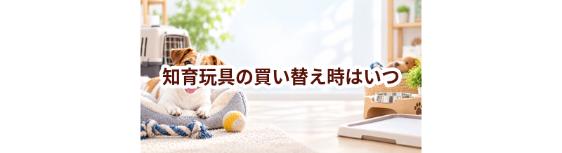 知育玩具の買い替え時はいつ？安全に使うためのチェックポイント