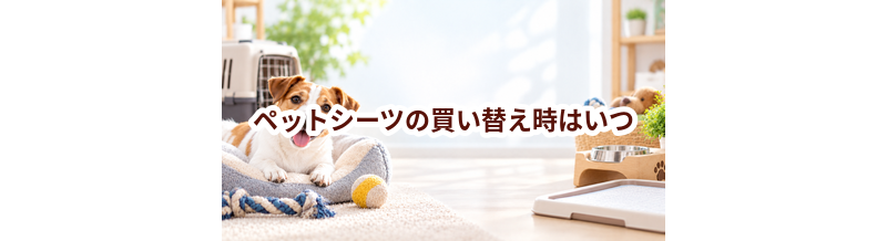 ペットシーツの買い替え時はいつ？安全に使うためのチェックポイント