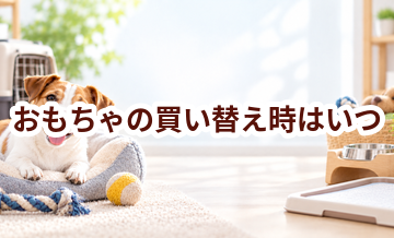おもちゃの買い替え時はいつ？安全に使うためのチェックポイント