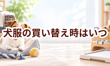 犬服の買い替え時はいつ？安全に使うためのチェックポイント