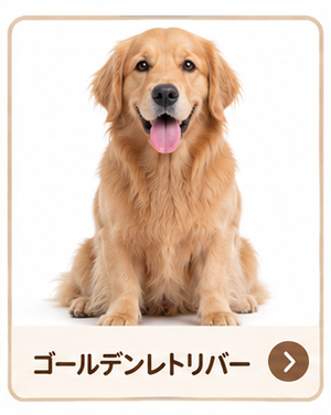 ゴールデンレトリバー