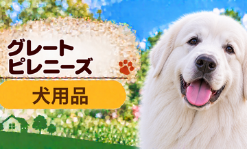 グレートピレニーズ向け犬用品の選び方｜ケージ・ベッド・ハーネスをまとめて確認