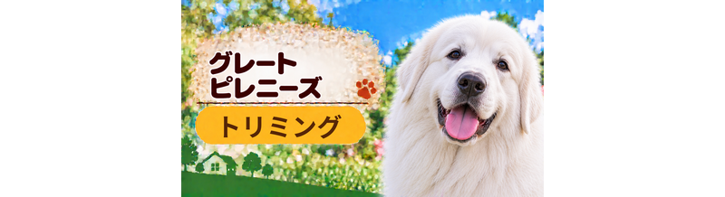 グレートピレニーズのトリミング代はいくら？頻度と年間費用を計算