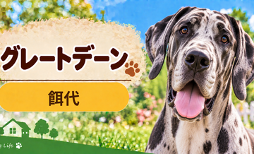 グレートデーンの餌代は月いくら？体重からドッグフード代をシミュレーション
