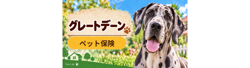 グレートデーンのペット保険料はいくら？加入前に確認したい補償と費用