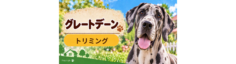 グレートデーンのトリミング代はいくら？頻度と年間費用を計算