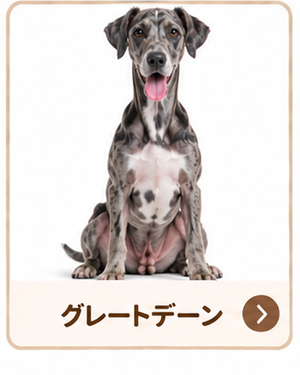 グレートデーン