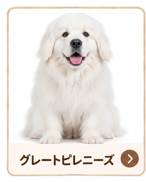 グレートピレニーズ