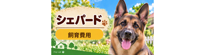 シェパードを飼う費用はいくら？初期費用・年間費用・生涯費用を解説